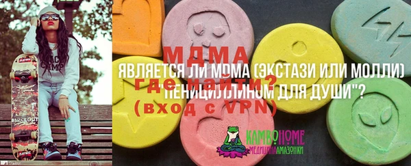 PSILOCYBIN Алзамай