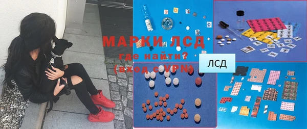 PSILOCYBIN Алзамай
