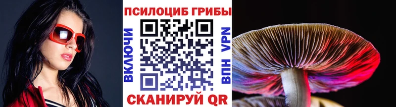 купить Егорьевск Галлюциногенные грибы GOLDEN TEACHER